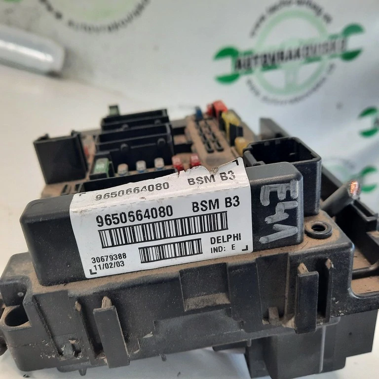 BSM Peugeot 307 9650664080