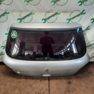 Piate dvere Peugeot 307 HB 