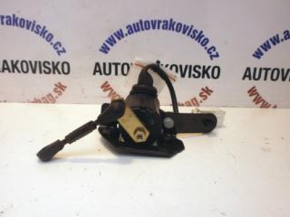 Akceleračný pedál Renault Megane Scenic 020600102